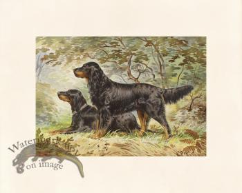 Pope Dog 05 Black and Tan Setter